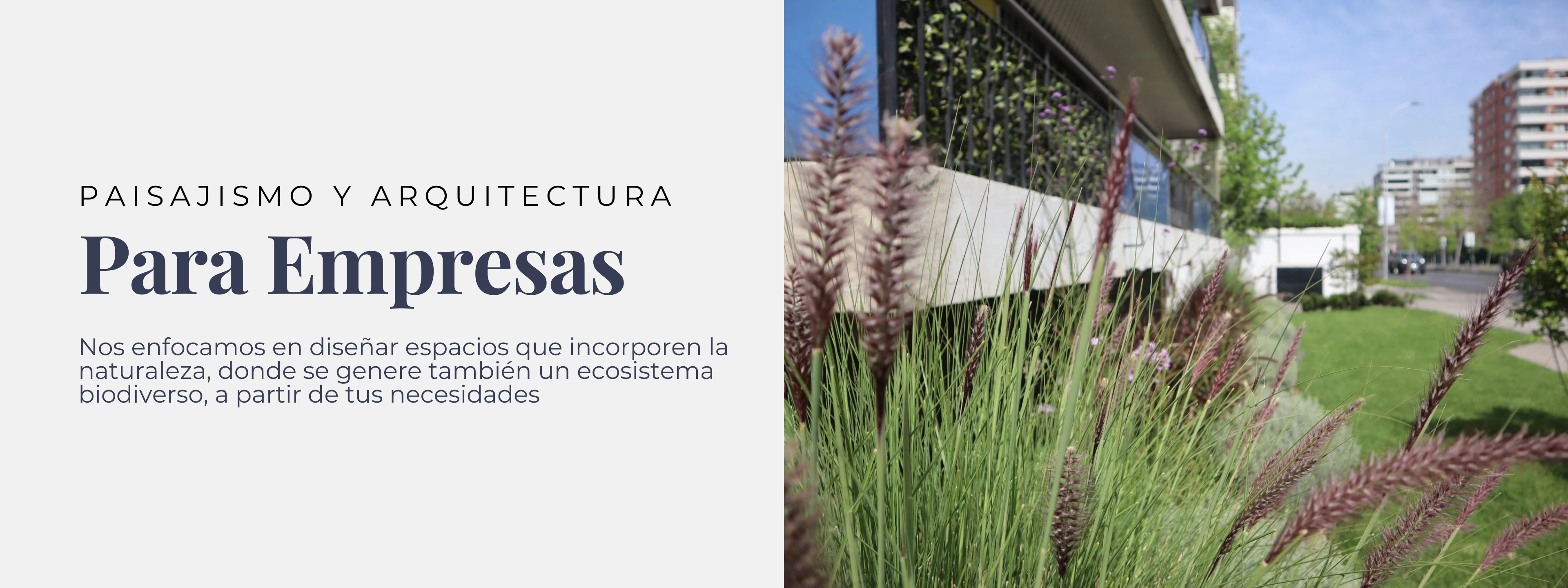 Aura Paisaje